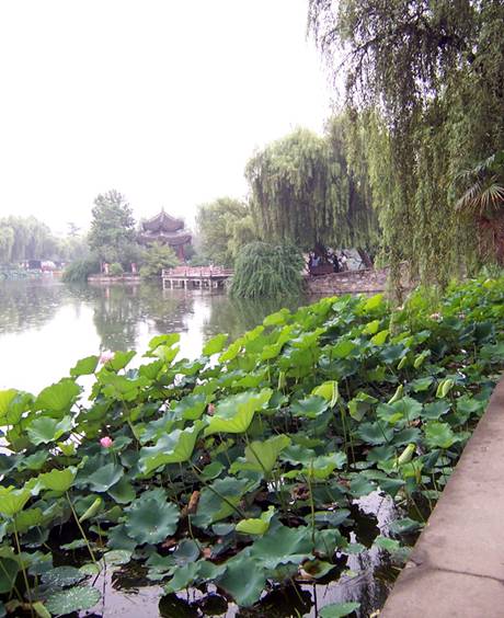 Lotus, willows and pagodas surround a quiet lake in Hanzhong